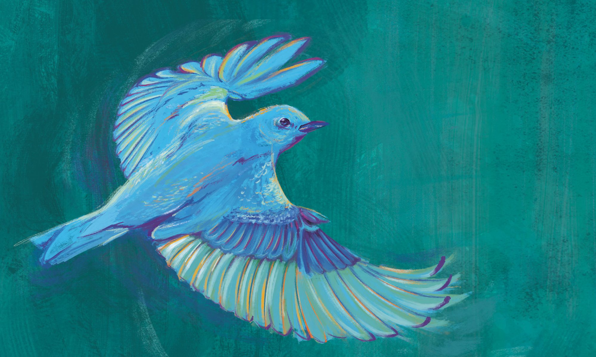 rollingrobin
